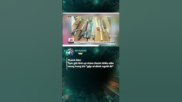 Thanh Hóa: Tạm giữ hình sự nhóm thanh thiếu niên mang hung khí "gặp ai đánh người đó" | Ấn tượng VTV