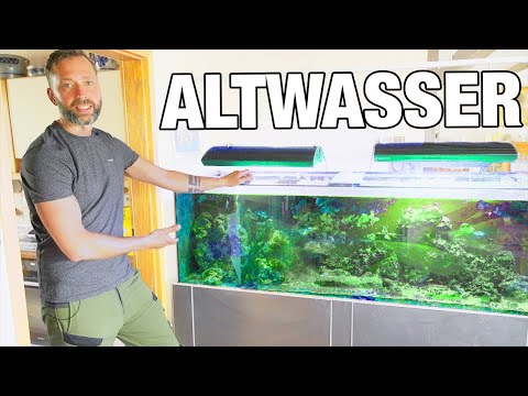 Video: Wie Sie ein gesundes Aquarium mit einfachem Wasserwechsel und einfacher Wartung erhalten