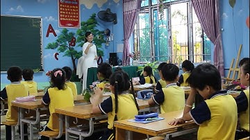 Tự nhiên xã hội lớp 3| Bài 13: Một số bộ phận của thực vật | Tiết 1| #1