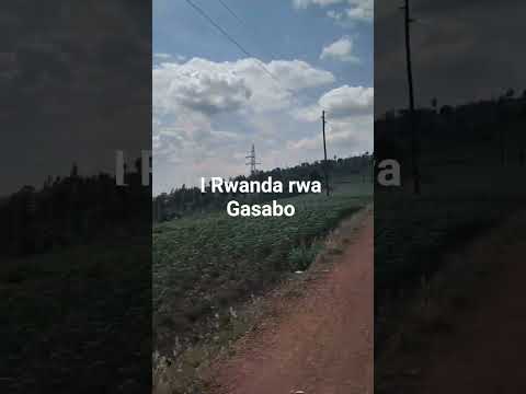 Gicaca Cya Bumbogo Bumbogo Bwa Nkuzuzu