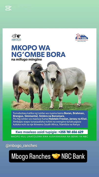 MKOPO WA NG'OMBE BORA na Mifugo mingine - Mbogo Ranch / Nbc Bank