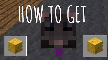 How to get the Rat Pet - Hypixel Skyblock