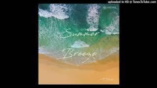 Download lagu N'Dinga Gaba, Sahffi - Summer Breeze (Fka Mash Re-glitch)