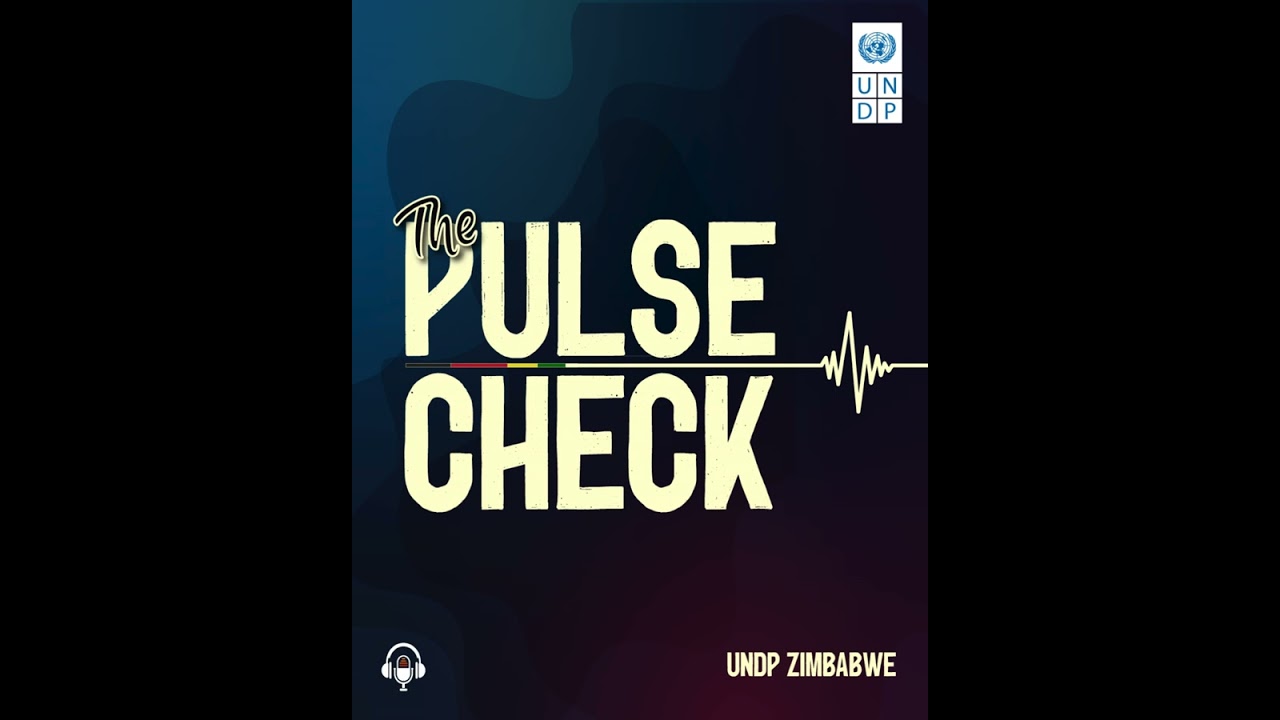 Solidarity, Sustainability & Innovation - A Reflection of Zimbabwe’s UNDP - Global Fund Partnership