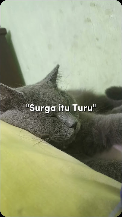 surga itu turu