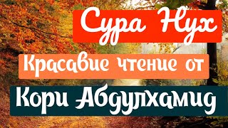 Кори Абдулхамид