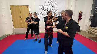 WING CHUN PRAXE