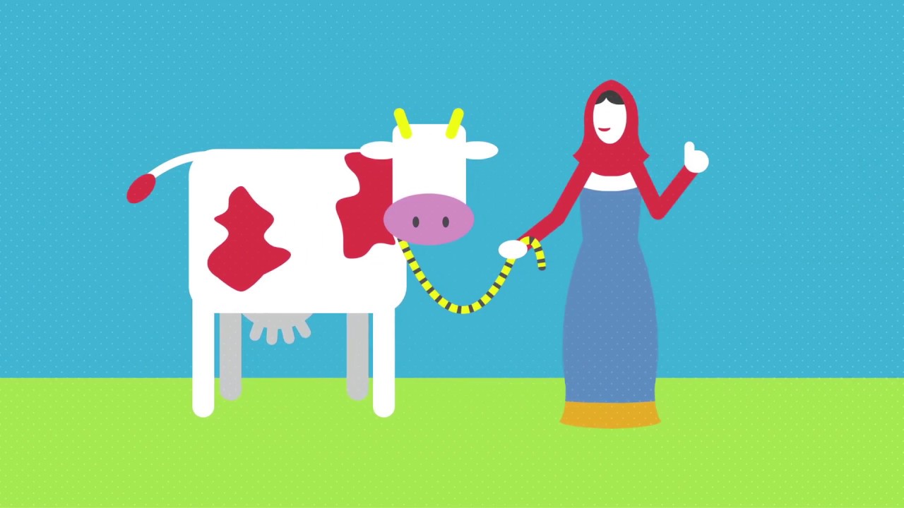What Is Food Security YouTube