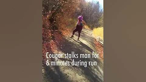 Cougar Stalks Man for 6 Minutes During Run