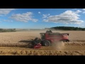 Moisson normandie 2016 gaec cerdan moissonneuse massey ferguson