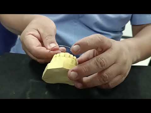Arco de Hawley - (Dr. Cesar Cortez Sosa)