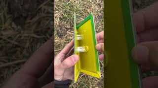 Bushcraft Bird Trap – Fast, Easy, Effective! #bushcraft #campping #survival #lifehacks