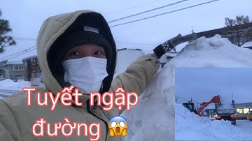 Cuộc sống nơi xứ lạnh Nhật Bản, tuyết chất ngập đường xe phải chở đi đổ || VĂN LỰC-VLOGS.