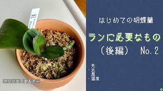 2021年9月12日　【はじめての胡蝶蘭】シリーズNo.2（後編）　胡蝶蘭に必要なもの光・水・風・温度を簡単に説明　　リンリンの胴切り