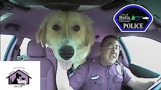 Rolla Police TV:  When ACO is not on duty.