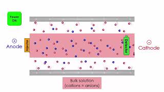 Capillary Electrophoresis: separation of charged species based on their charge and size