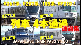 サフィール踊り子　E261系、新型踊り子（特急「湘南」に起用される車両）E257系、踊り子　185系、貨物列車　EF210の4本通過です。JAPANEASE RAILWAY PASS