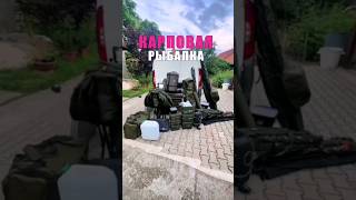 БОЛЬ КАЖДОГО КАРПЯТНИКА #карпфишинг