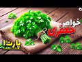 خواص جعفری با 10 معجزه آن برای سلامتی پارت اول 