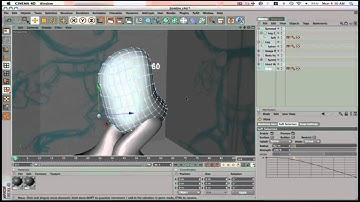 Basic Box Modeling in CInema 4D