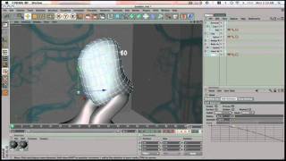 Basic Box Modeling in CInema 4D