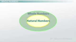 What Are The Different Types of Numbers?