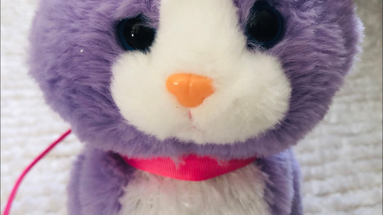 kid connection walking cat