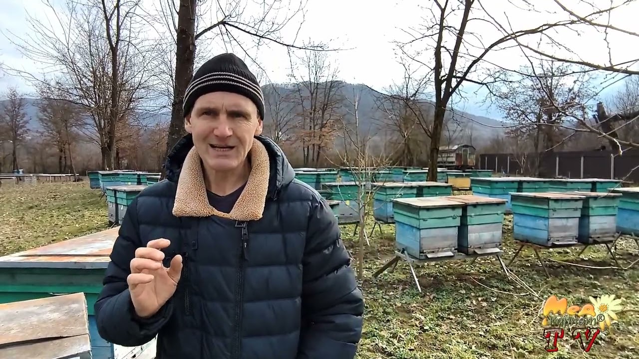 Ціна на пакети бджіл 2026 - економічні обгрунтування.