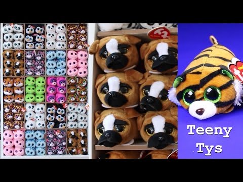 ty-teeny-tys-full-display-set-up-ty-beanie-boo-doll-collection-beanie-boos