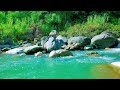 White Noise for Sleeping Water | Calm River Stream to Fall Asleep Fast