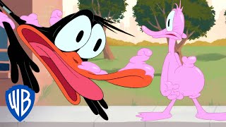 Looney Tunes in italiano 🇮🇹 | Un problema con la gomma da masticare 🍬 | WB Kids