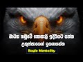 Eagle Mentality | Sinhala Motivational Video