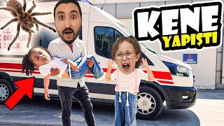 Download Lagu BANU ALYAYI KENE ISIRDI ACİL HASTANEYE GÖTÜRDÜK !! AMBULANS GELDİ !! MP3 Download Lagu BANU ALYAYI KENE ISIRDI ACİL HASTANEYE GÖTÜRDÜK !! AMBULANS GELDİ !! MP3