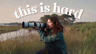 10 HARSH Wildlife Photography lessons I wish I knew earlier