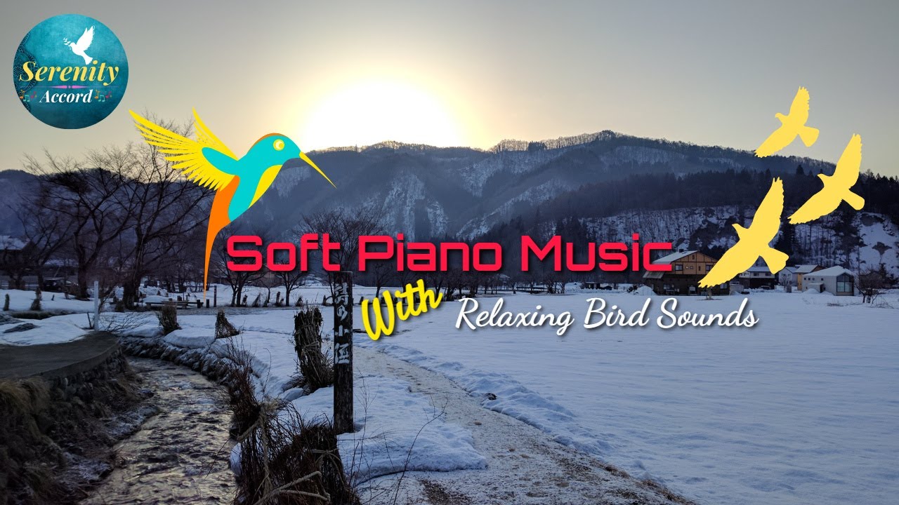 Early Morning Snow With Soft Piano Music For Deep Sleep - Relaxing Bird ...