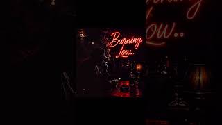 B.L.U.E.S. ECHO Burning Low..#blues #soul #music