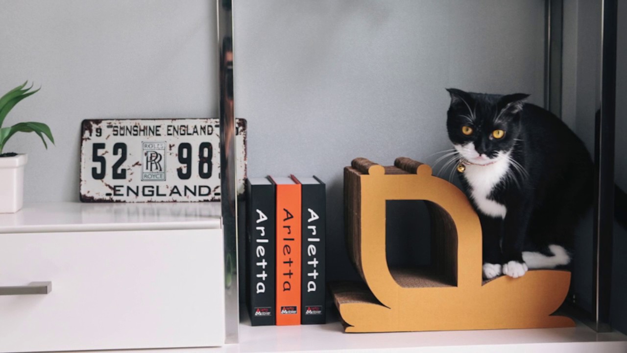 9lifers Lifestyle Slideshow