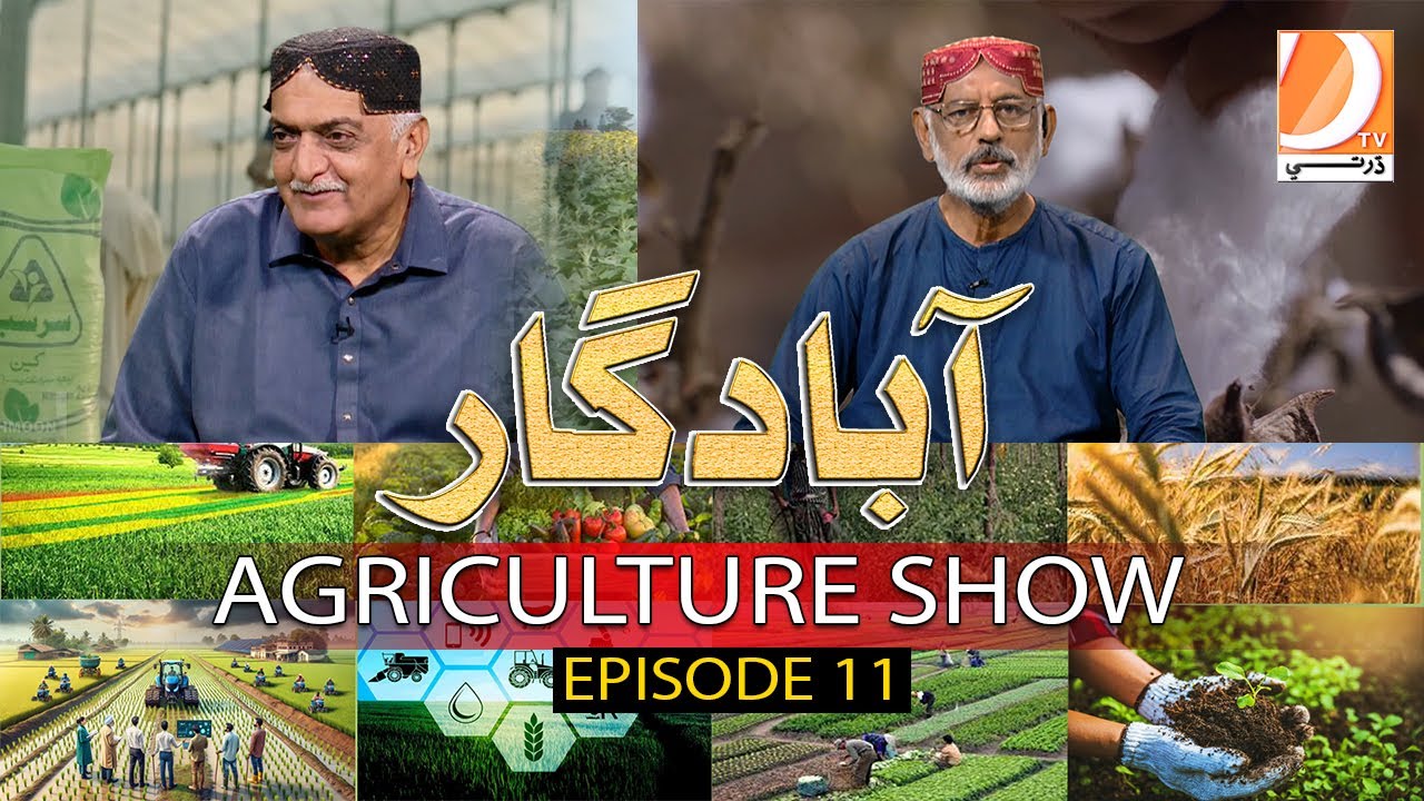 Abadgar (The Agriculture Show) Episode 11 | Host: Ayaz Gaad | Dharti Tv