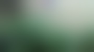 Preparation for SCROG