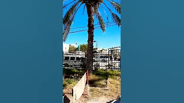 الحامة المزيانة مليح العرب جرجار الشاب عماد 