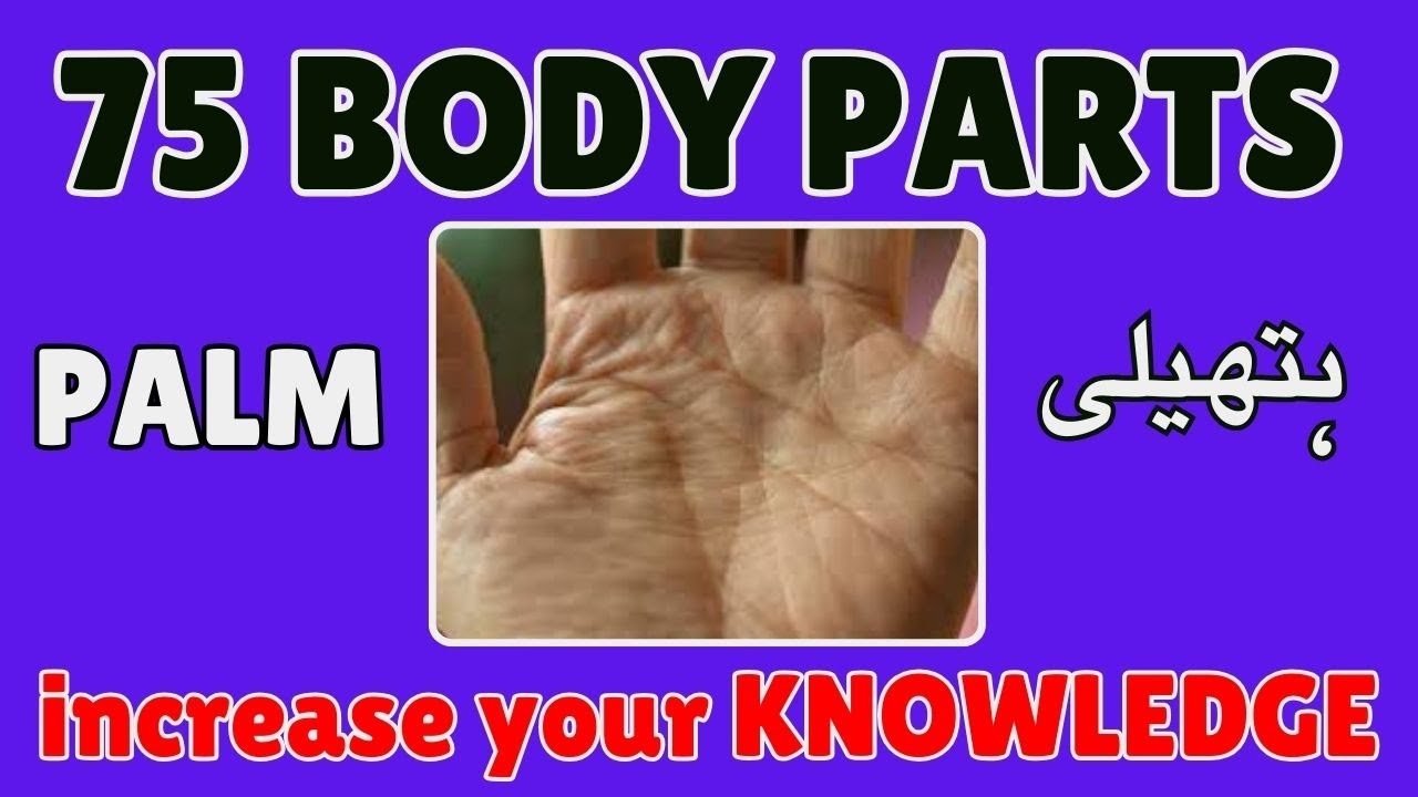 Parts Of Body Name English And Urdu With Pictures YouTube Parts Of Body Name English And Urdu With Pictures YouTube