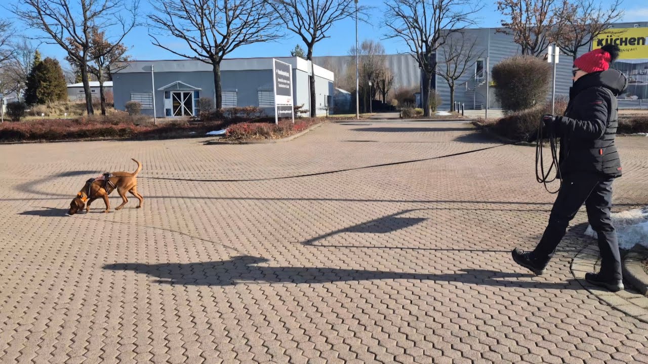 Selbstständige Arbeit entsteht nicht durch Anleitung 