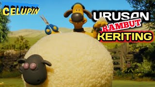 Urusan Rambut Keriting shaun The Sheep Jawa