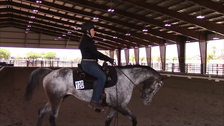 NSHA Open Breed Show 05/22/2022