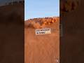 DESERT SAFARI ACCIDENT Shorts Shortsfeed Dubai Desertsafari Fun Ride Youtubeshorts DESERT SAFARI ACCIDENT Shorts Shortsfeed Dubai Desertsafari Fun Ride Youtubeshorts