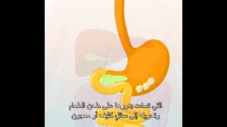 الهضم و أجزاء الجهاز الهضمي