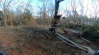 Famous Tree removal made easy! Net Worth