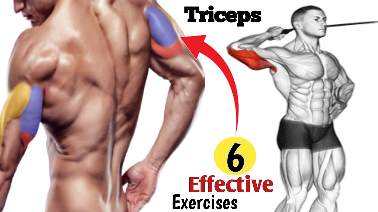6 Best Exercises Bigger Triceps At Gym || Triceps Workout - YouTube