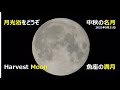 中秋の名月、魚座の満月、Harvest Moon