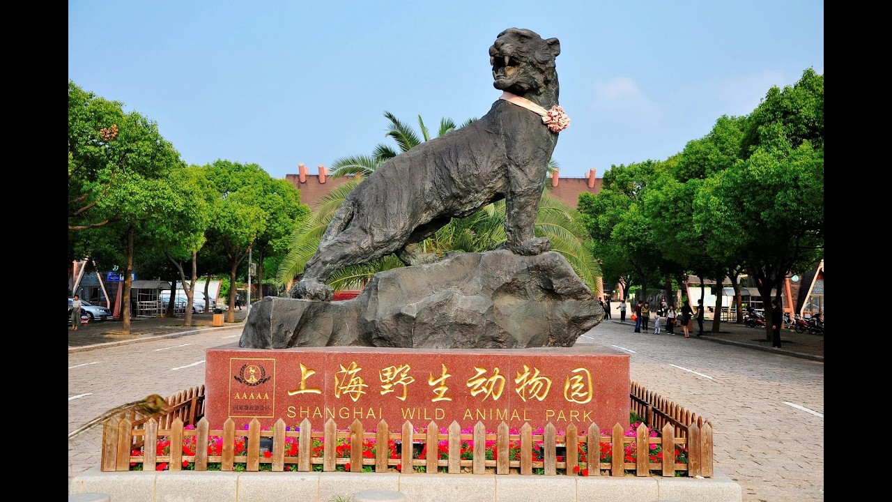 Shanghai wild animal park  сафари в Шанхае Китай 2025